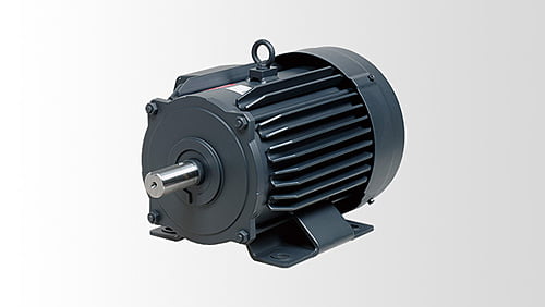 IPM Motor